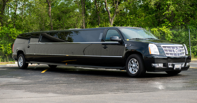 Fort Collins 20 Passenger Limo